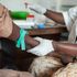 'Mükemmel petri kabı': Afrika'da hayvandan insana hastalık salgınları %60'tan fazla arttı | Dünya Haberleri