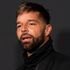 Ricky Martin sues nephew who falsely claimed they were in sexual relationship