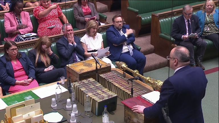 Labour&#39;s deputy leader Angela Rayner and Paymaster General Michael Ellis face each other in the Commons 
