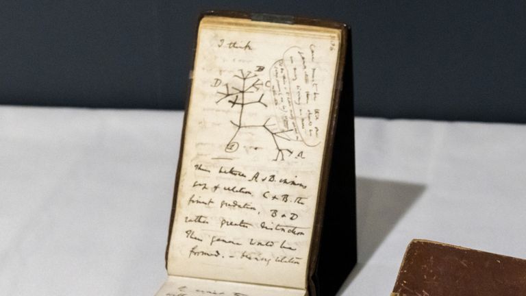 Charles Darwin’s notebooks to go on display after going missing for 20 years