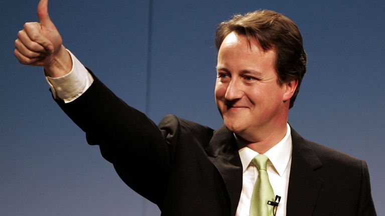 David Cameron after being chosen as the new leader