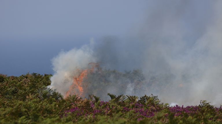A view of gorse bush fire, during a heatwave near Zennor, Cornwall, Britain, July 19, 2022. REUTERS/Tom Nicholson
