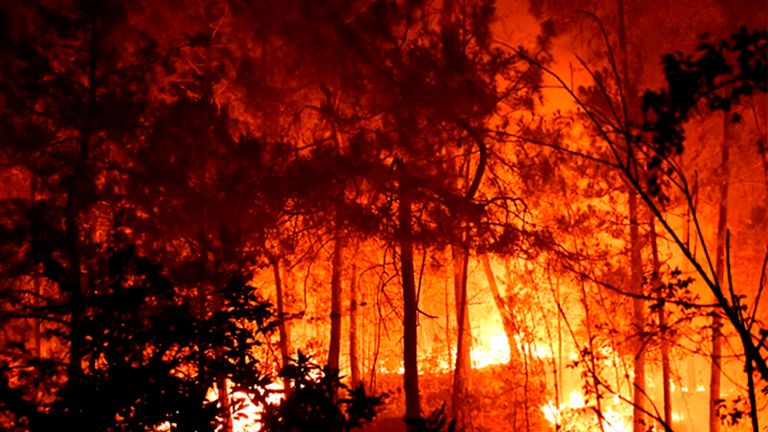 This photo provided by the SDIS30 fire brigade shows trees burning during a fire Thursday, July 7, 2022 near Bordezac, in southern France. Hundred of firefighters backed by water-dropping planes battled a large forest fire Friday in southeast France that has forced the evacuation of nearby villages.Thirteen firefighters have been injured in Bordezac ... the village where the fire started. (SDIS30 via AP)
