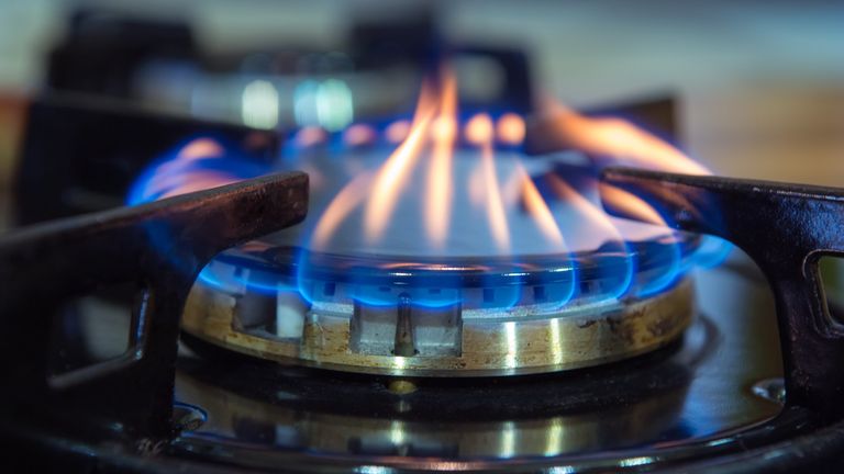 Blue flames on the gas stove burner.