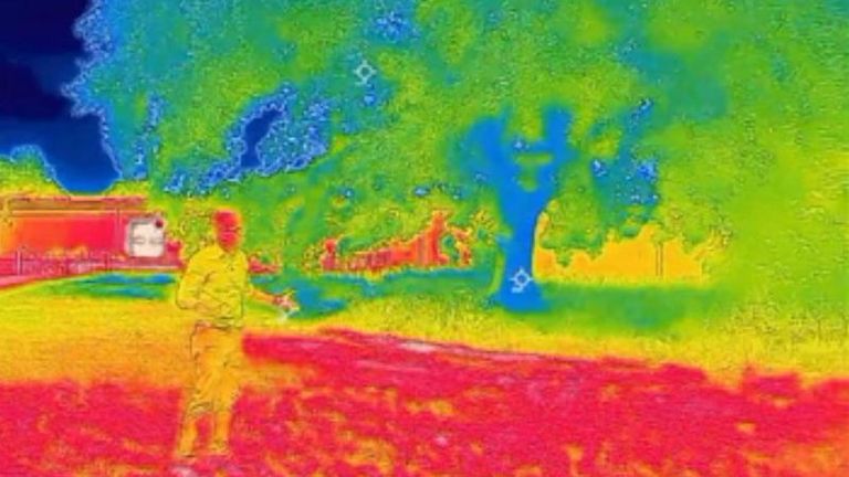Thermal image showing a cooler area shaded by a tree
