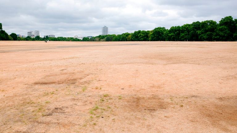Hyde Park grass dries up as UK faces drought following extreme heat ** STORY AVAILABLE, CONTACT SUPPLIER**  (Cover Images via AP Images)