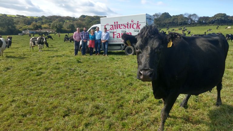 Pic: Callestick Farm Cornish Ice Cream