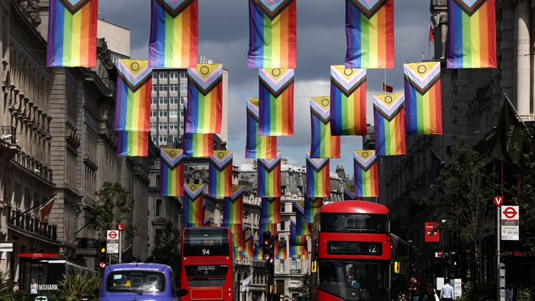 Intersex-Inclusive Pride flags, designed by Valentino Vecchietti and used to represent the LGBTIQ+ community, hang across Regent Street ahead of next weeks Pride parade in London, Britain, June 26, 2022. REUTERS/Henry Nicholls