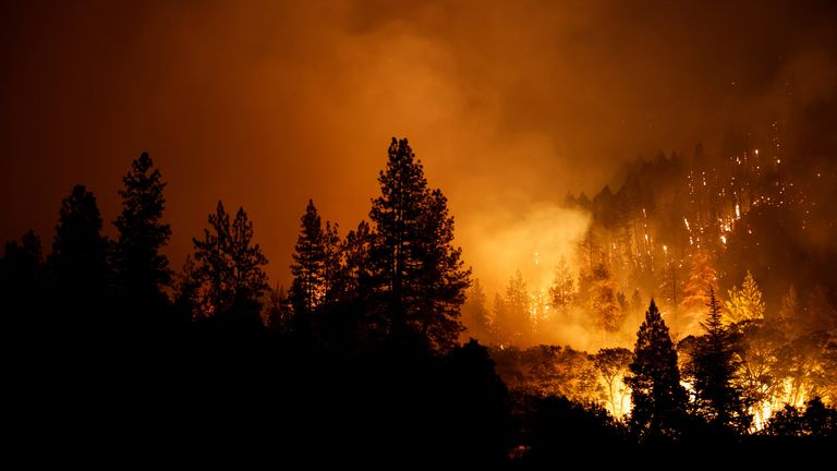 McKinney Fire burns near Yreka, California, U.S., July 30, 2022. REUTERS/Fred Greaves 