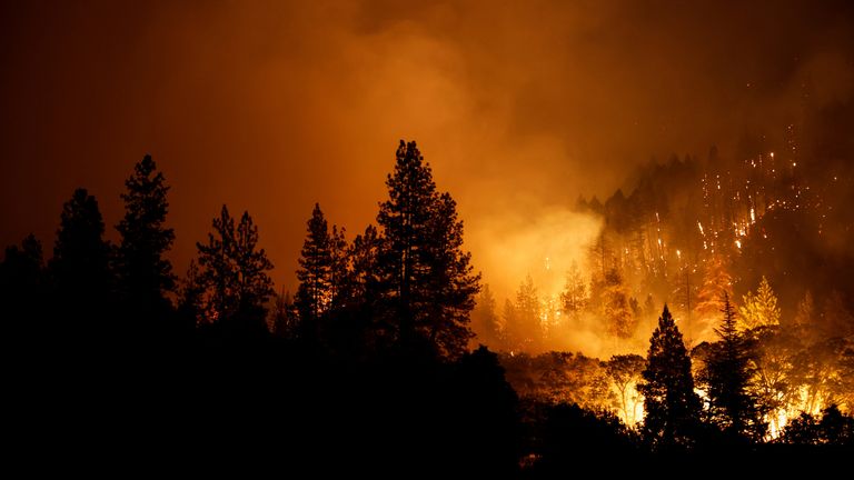 McKinney Fire burns near Yreka, California, U.S., July 30, 2022. REUTERS/Fred Greaves
