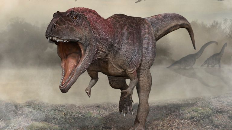 Reconstitution par un artiste du dinosaure carnivore Meraxes gigas de la période du Crétacé, dont les fossiles, y compris un crâne presque complet, ont été découverts dans la région nord de la Patagonie en Argentine.  Meraxes, qui vivait il y a environ 90 millions d'années, est estimé à environ 36-39 pieds (11-12 mètres) de long et environ 9 000 livres (4 tonnes métriques).  Carlos Papolio/Document via REUTERS.  AUCUNE REVENTE.  PAS D'ARCHIVES.  CETTE IMAGE A ÉTÉ FOURNIE PAR UN TIERS.
