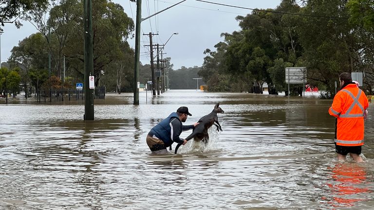 Nicole Johnston Australia eyewitness pictures 