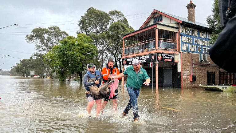 Nicole Johnston Australia eyewitness pictures 