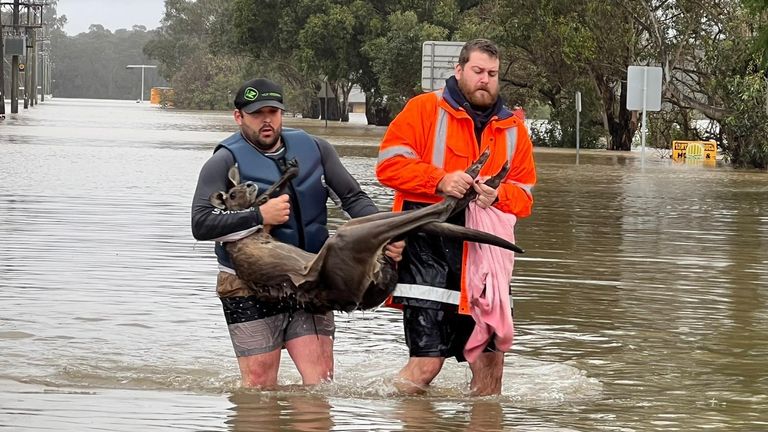 Nicole Johnston Australia eyewitness pictures 