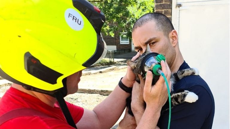 First pet-friendly oxygen mask used to rescue cat from house fire