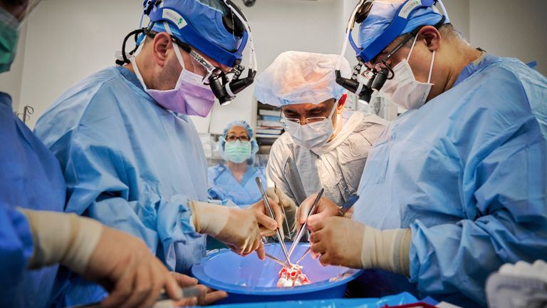 Surgeons at NYU Langone in the US successfully transplanted genetically modified pig hearts into clinically dead patients