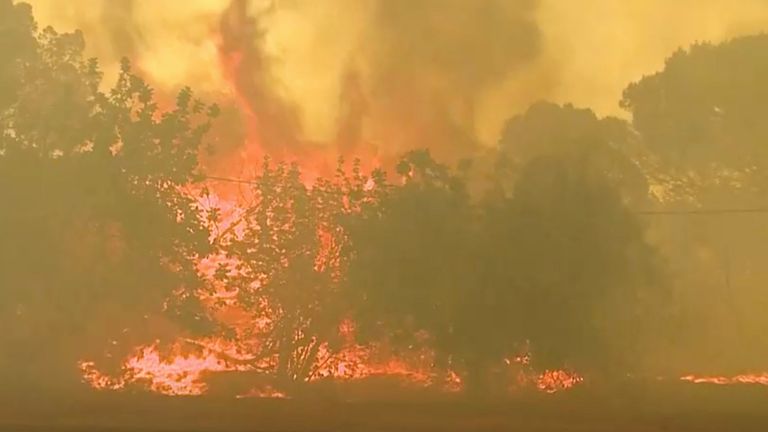 Portekiz'deki Quinta do Lago'da orman yangını sürüyor.  13 Temmuz 2022, videodan alınan bu hareketsiz görüntüde.  REUTERS aracılığıyla REUTERS TV/Luis Ferreira