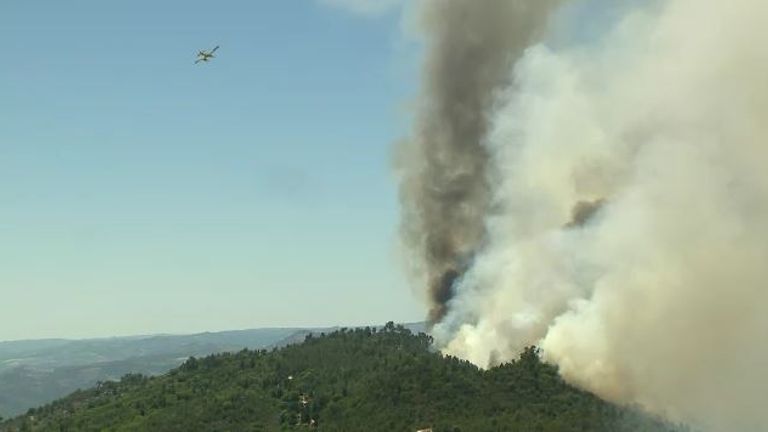 Incendios forestales en Portugal hieren a 29 mientras las altas temperaturas activan advertencias |  noticias del mundo