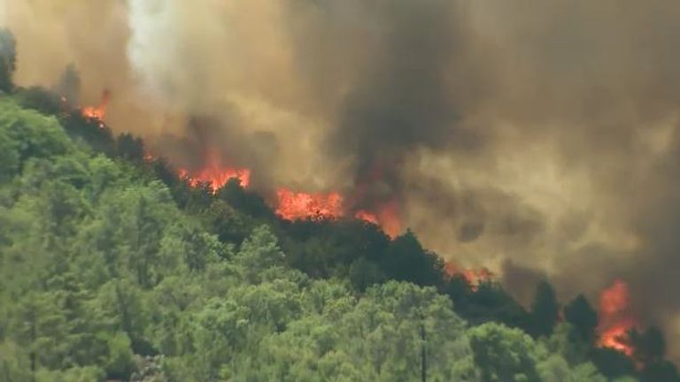 Portugal wildfires