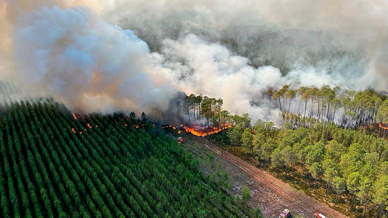 Gironde bölgesinin itfaiye teşkilatı (SDIS33) tarafından sağlanan bu fotoğraf, 13 Temmuz 2022 Çarşamba günü, Fransa'nın güneybatısındaki Landiras yakınlarında bir orman yangını gösteriyor. İtfaiyeciler Portekiz, İspanya ve güneyde alevlerle mücadele ederken, bir dizi orman yangını Avrupa'nın bazı bölgelerini kavuruyor. Fransa Çarşamba günü, yetkililerin iklim değişikliğine bağladığı olağandışı bir sıcak hava dalgasının ortasında.  (AP aracılığıyla SDIS33)