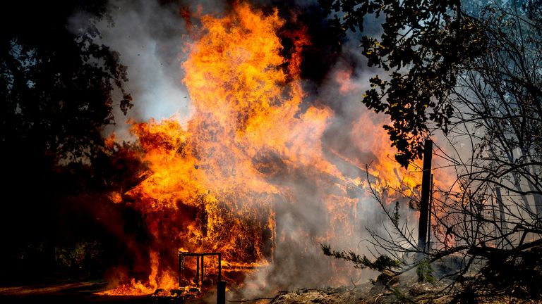 Flammen des Eichenfeuers verzehren am Samstag, den 23. Juli 2022, ein Haus in der Triangle Road in Mariposa County, Kalifornien. (AP Photo/Noah Berger)