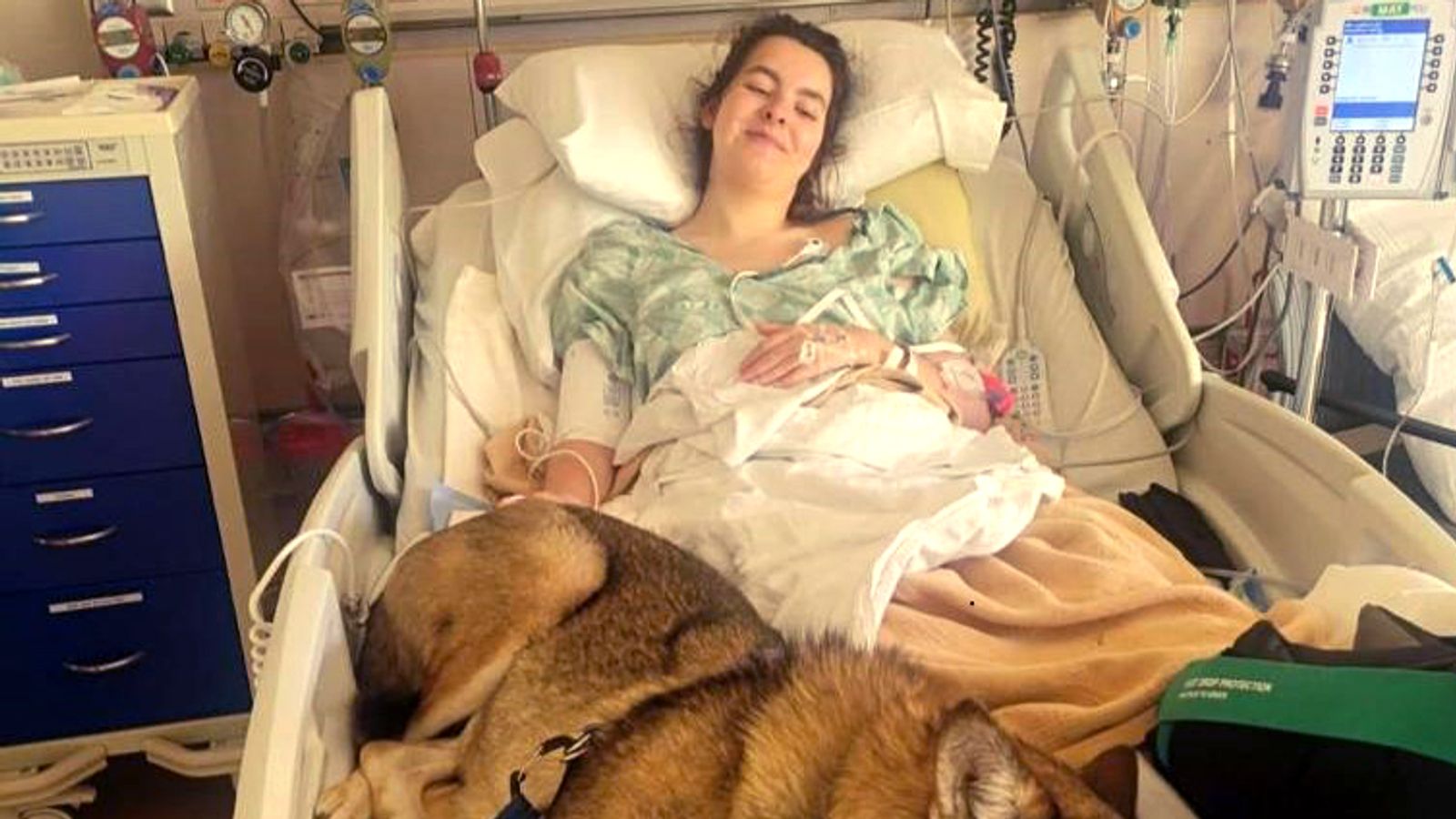 British student unable to walk after bison attack may be left stranded in US over health insurance, parents say
