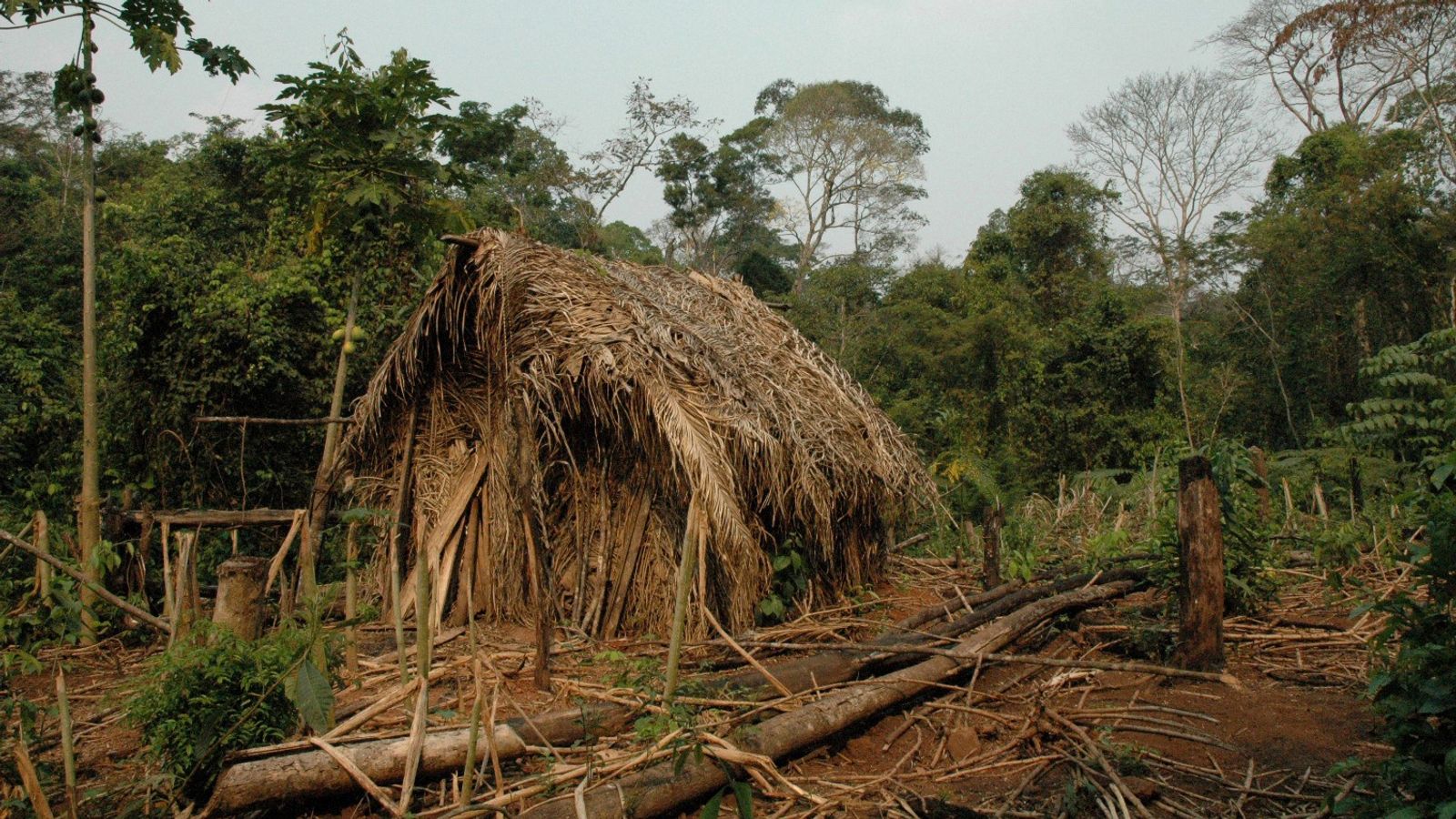 Le dernier membre d’une tribu amazonienne non contactée décède au Brésil |  Nouvelles du monde