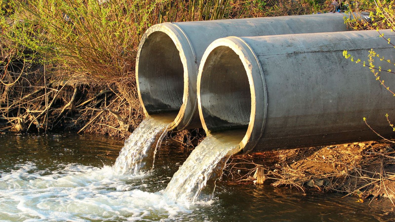 Water regulator names six providers 'falling short' on key obligations including sewage