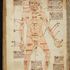 Old manuscripts reveal bizarre medieval medical cures
