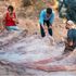 Portekiz'de bir adamın arka bahçesinde 82 ft uzunluğunda dinozor iskeleti bulundu | Dünya Haberleri
