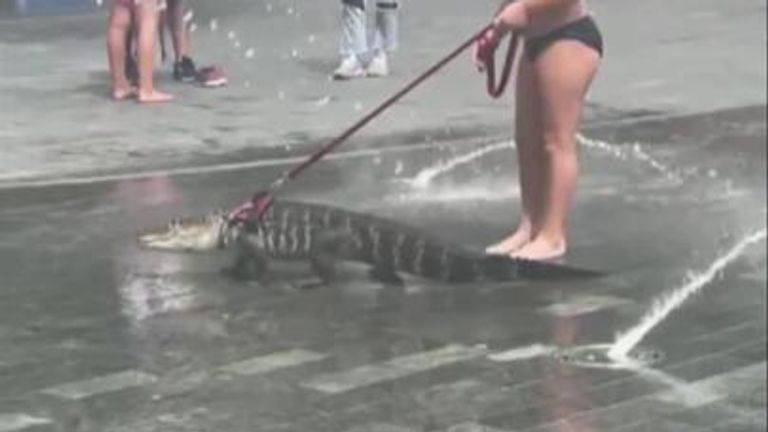 A girl is spotted walking her emotional support alligator a named &#39;Wally&#39; through the park in Philadelphia.