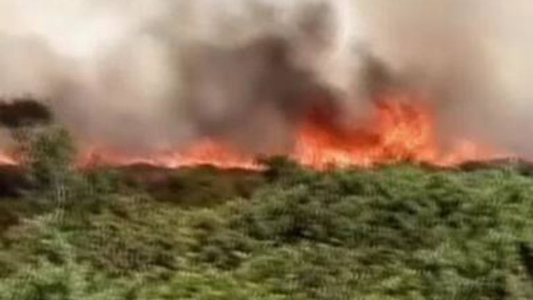 Firefighters in Studland tackle a large wild fire near the coast. The area around the fire was evacuated. 