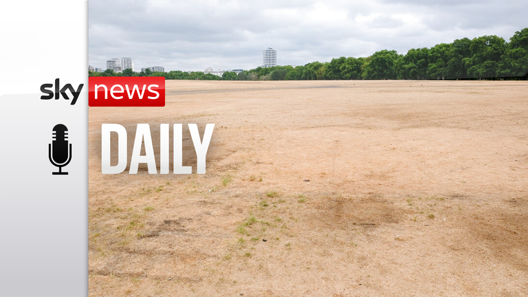 Hyde Park grass dries up as UK faces drought following extreme heat (Cover Images via AP Images)