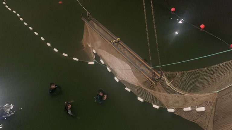 Trapped beluga whale lifted out of Seine hours before death