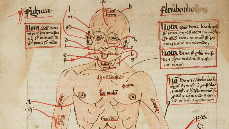 Undated handout photo issued by Cambridge University Library of a diagram of the human body, showing the veins to be opened for blood-letting, in the 16th century. Curious medieval cures, including a treatment for gout that involved baking an owl then grinding it into a powder, are to be shared with the public online by Cambridge University Library. Issue date: Wednesday August 17, 2022.


