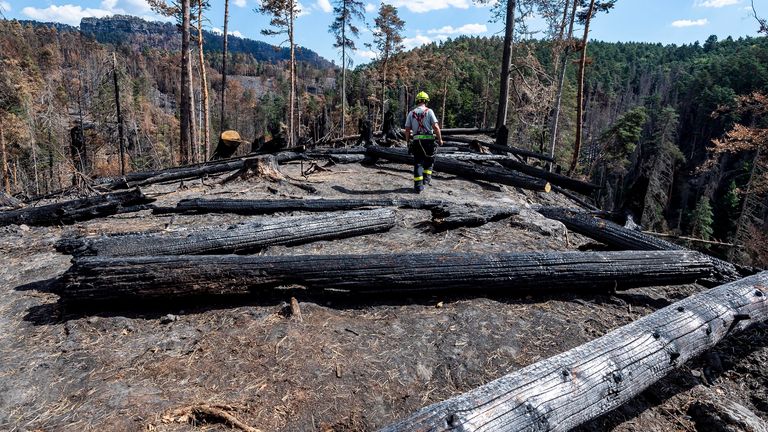 Les forêts brûlées dans le parc national de Ceske Svycarsko (Suisse tchèque), République tchèque, 9 août 2022. Un pompier volontaire de Kresice dans la région de Decin traverse la longue mine au-dessus de la gorge d'Edmund (silencieuse), où il garde une partie de la première zone remise par les pompiers à l'administration du parc après la fin de la lutte contre l'incendie.  Photo/Ondrej Hajek (CTK via AP Images) PIC:AP