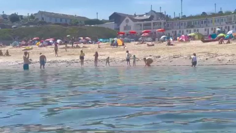 BNPS.co.uk (01202 558833).Pic: KateLowe/BNPS..Pictured: Above the surface...Just as holidaymakers thought it was safe to go back in the water after a shark attack, thousands of spider crabs swarm the beaches...The venomous creatures have been spotted gathering at St Ives, Cornwall, to shed their shells before returning to the depths. ..Instantly recognisable for their long legs and pincers the species is commonly sighted in Cornwall but not in such vast numbers.
