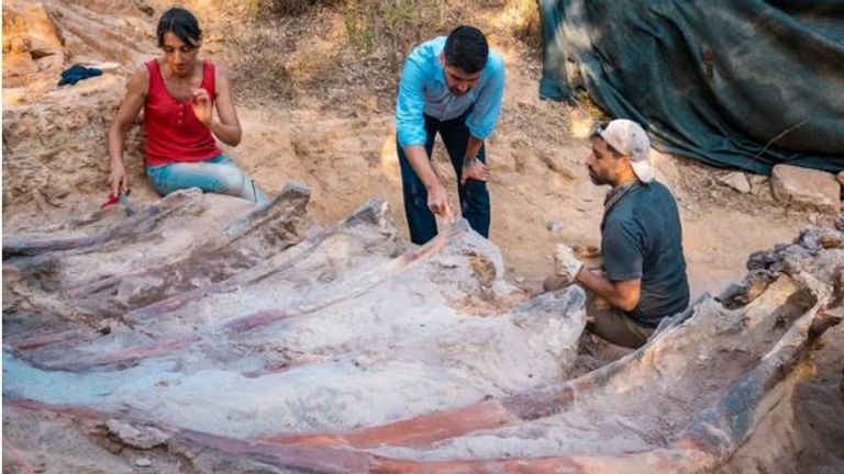 The remains of a dinosaur have been found in Pombal, Portugal. Pic: Instituto Dom Luiz (Faculty of Sciences of the University of Lisbon, Portugal)