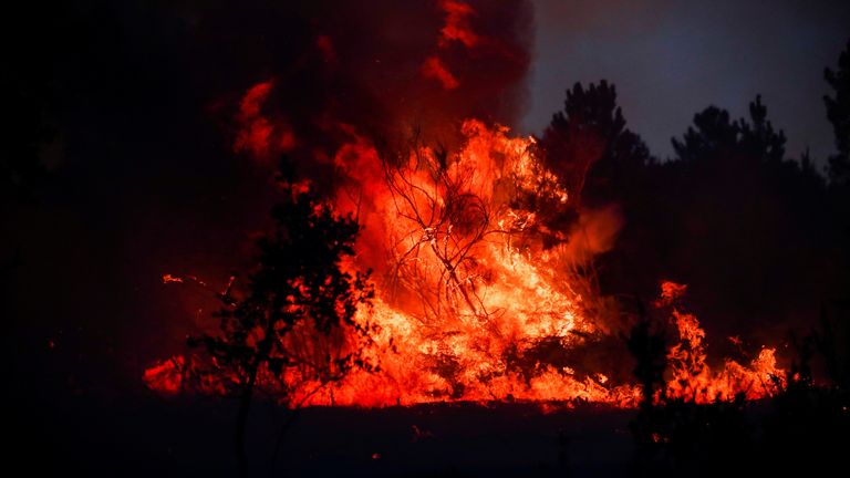 Vue d'un feu de forêt à Videmonte, Celorico da Beira, Portugal, 11 août 2022. REUTERS/Pedro Nunes