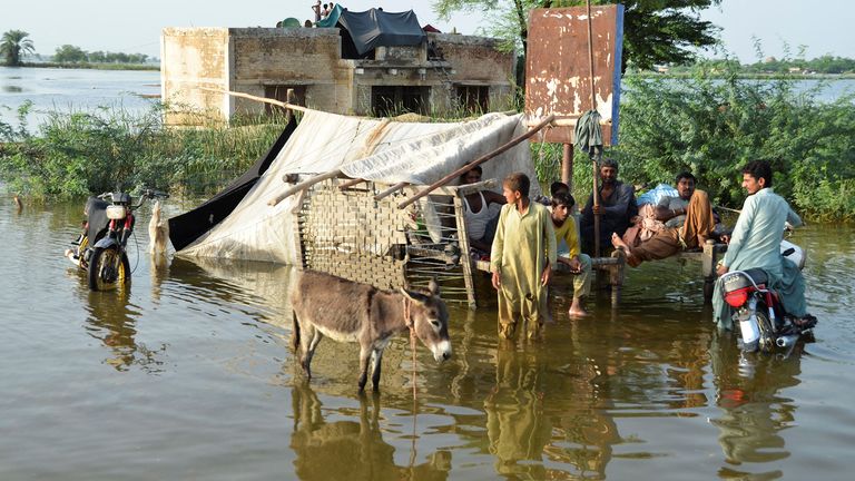 Les gens sont vus à l'extérieur de leur maison inondée, après les pluies et les inondations pendant la saison de la mousson à Suhbatpur, au Pakistan, le 28 août 2022. REUTERS/Amer Hussain AUCUNE REVENTE.  PAS D'ARCHIVES.