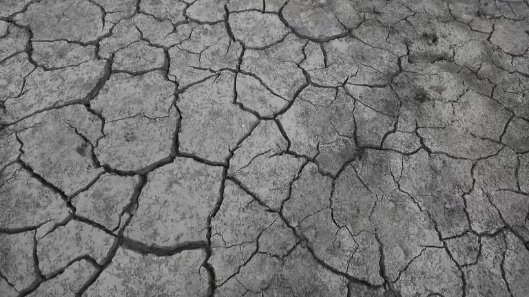 La France est en proie à la pire sécheresse de son histoire