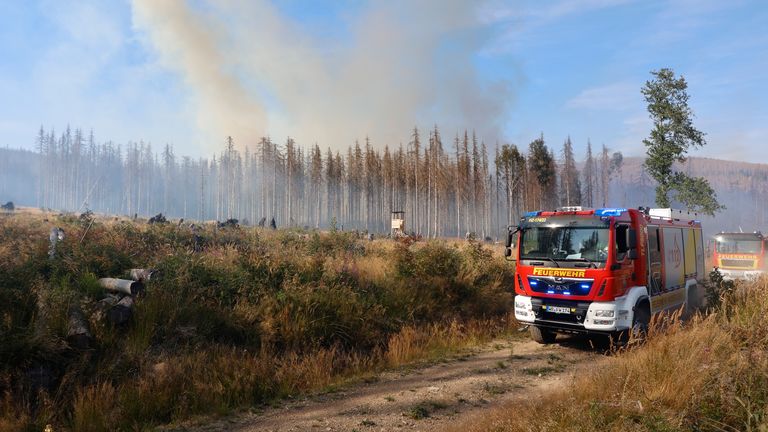 11 août 2022, Saxe-Anhalt, Schierke : la fumée monte d'une forêt à Schierke.  Une plus grande zone de forêt dans la zone du parc national est en feu depuis 14 heures. Photo par : Matthias Bein/picture-alliance/dpa/AP Images