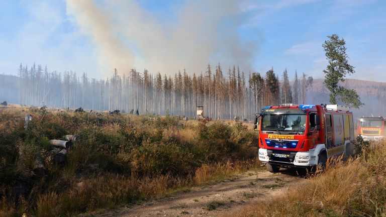 11.08.2022, Sachsen-Anhalt, Schirk: Rauch steigt aus einem Waldstück in Schirk auf.  Seit 14 Uhr brennen weitere Waldstücke im Nationalparkgebiet Foto: Matthias Bain/picture-alliance/dpa/AP Images