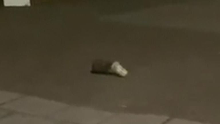 The hedgehog was filmed in Wembley, northwest London at 1am on Monday wandering the streets with a plastic pot stuck on its head.