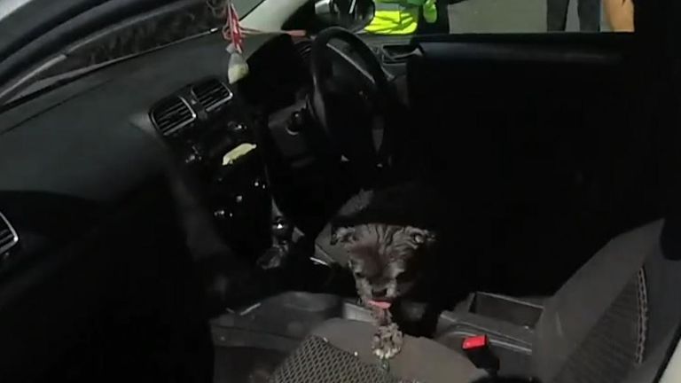 Nottinghamshire Police rescue a dog stuck in a car during hot weather