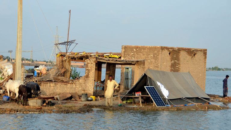 A man stands near his flood-hit home surrounded by water, in Sohbat Pur city of Jaffarabad, a district of Pakistan&#39;s southwestern Baluchistan province, Sunday, Aug. 28, 2022. 
PIC:AP