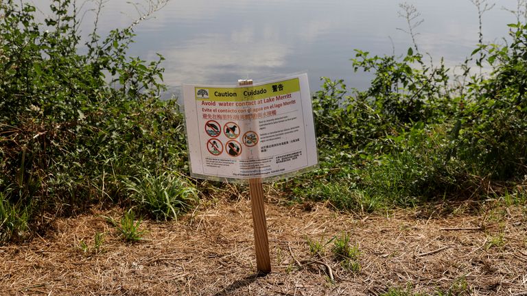 يمكن لرواد الحديقة رؤية علامة التحذير بالقرب من بحيرة ميريت في أوكلاند ، كاليفورنيا.  الصورة: A.P