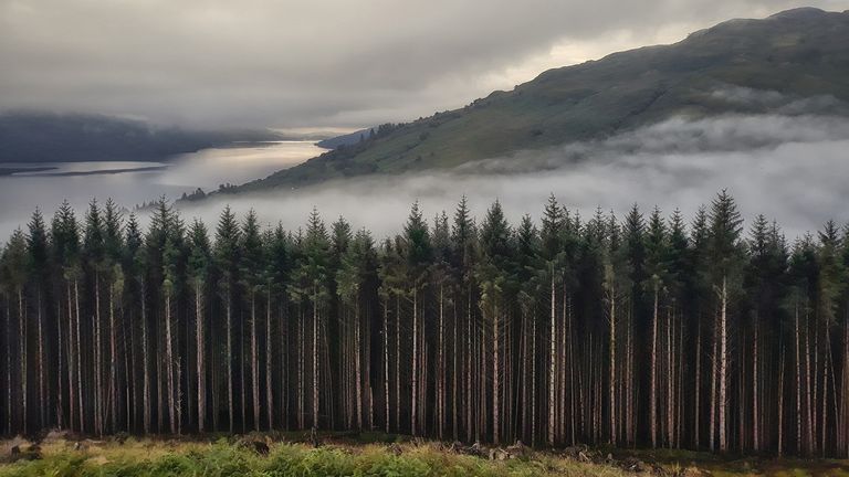 Photo location: Tarbet, Loch Lomond, Scotland Pic RMET