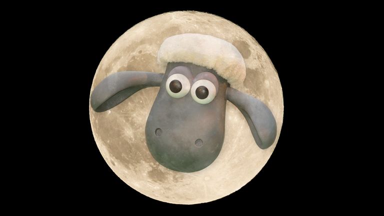 Shuan the sheep