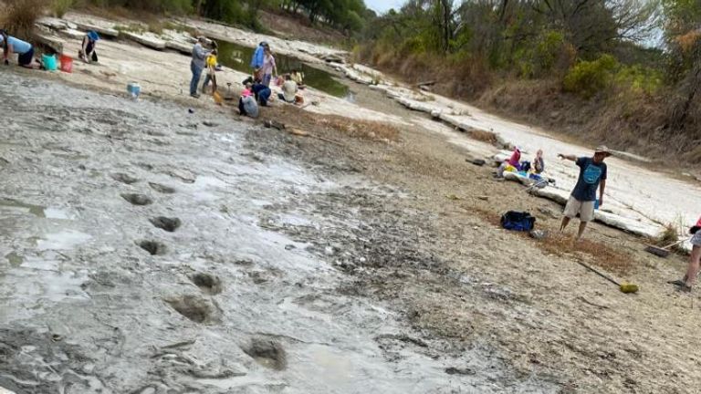 Acrocanthosaurus tracks (Pic: Paul Baker/Friends of Dinosaur Valley State Park)